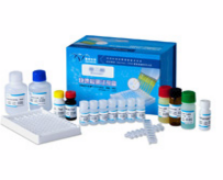 呋喃唑酮代谢物残留ELISA检测试剂盒